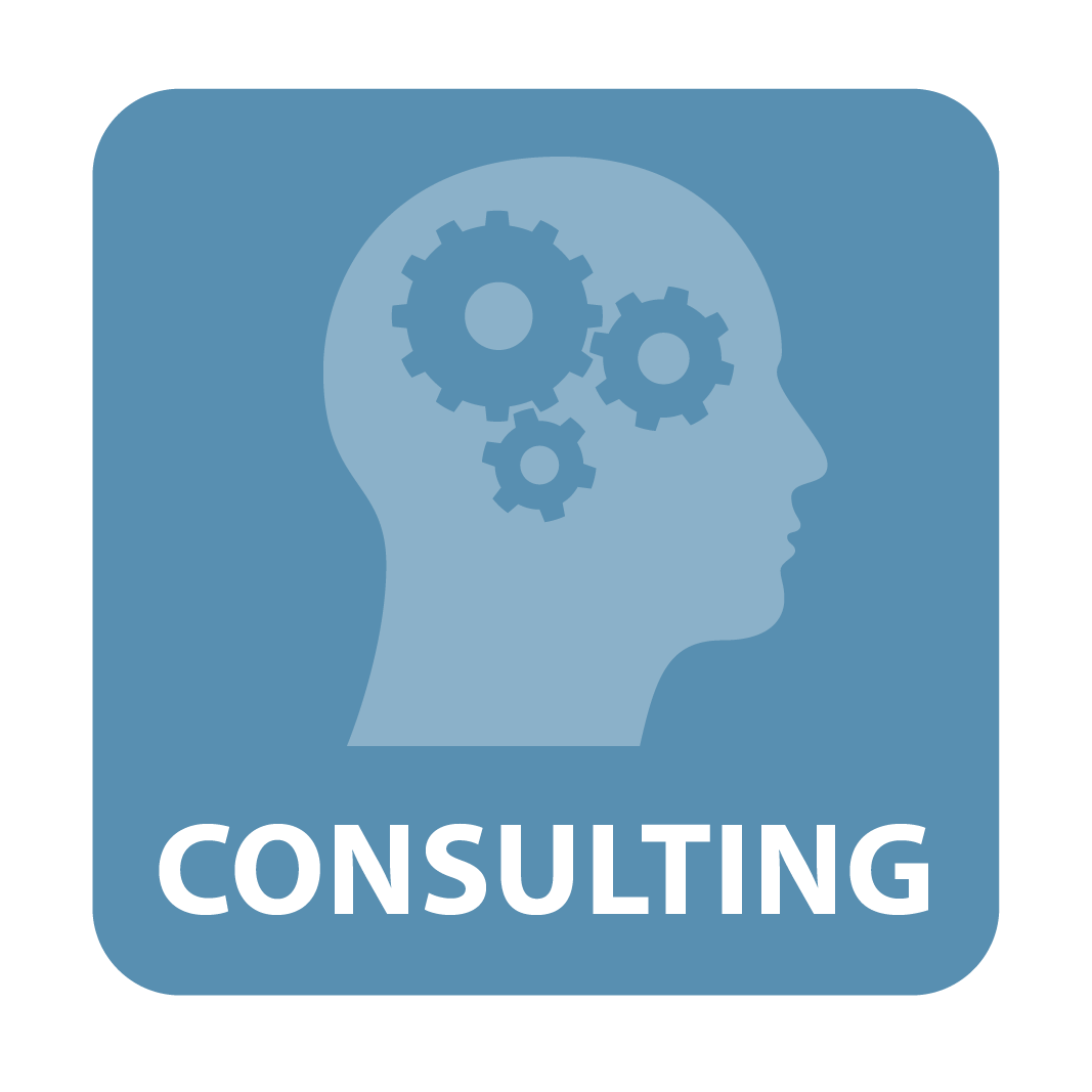 EXPAND Business Solutions Consulting Services